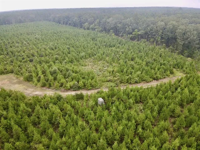 a view of a lush green field