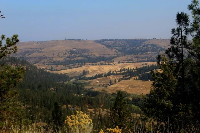 $84,900 | 35770 Spruce Grouse Lane North, Davenport, WA 99122