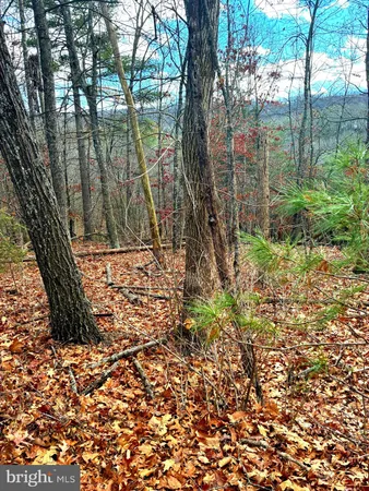 $91,200 | Spitz Lane, Basye, VA 22810