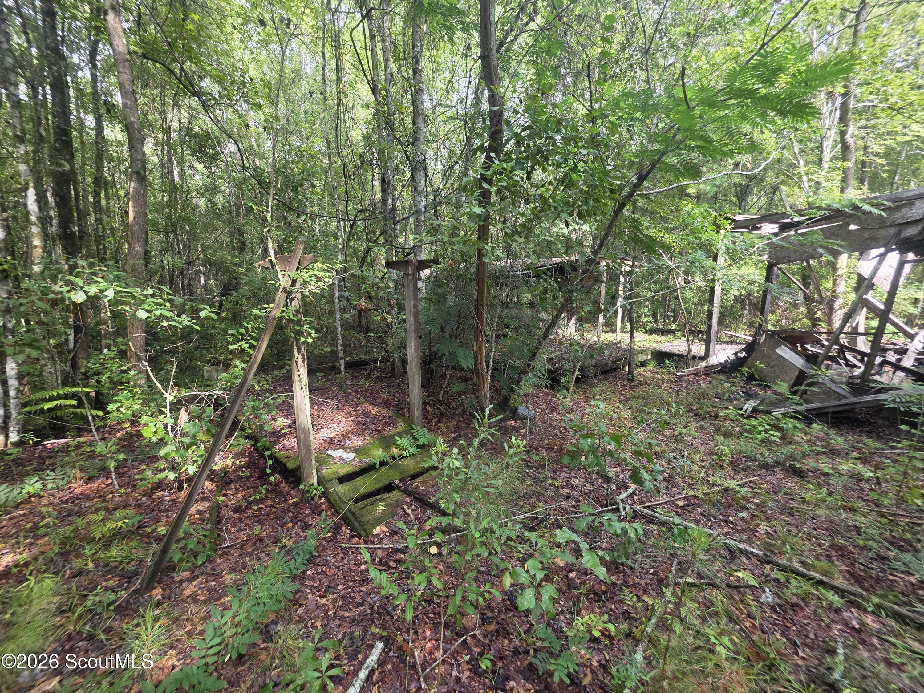 0 Cyprus Road Hortense, GA 31543 - Photo 10 of 19 20260809_103541
