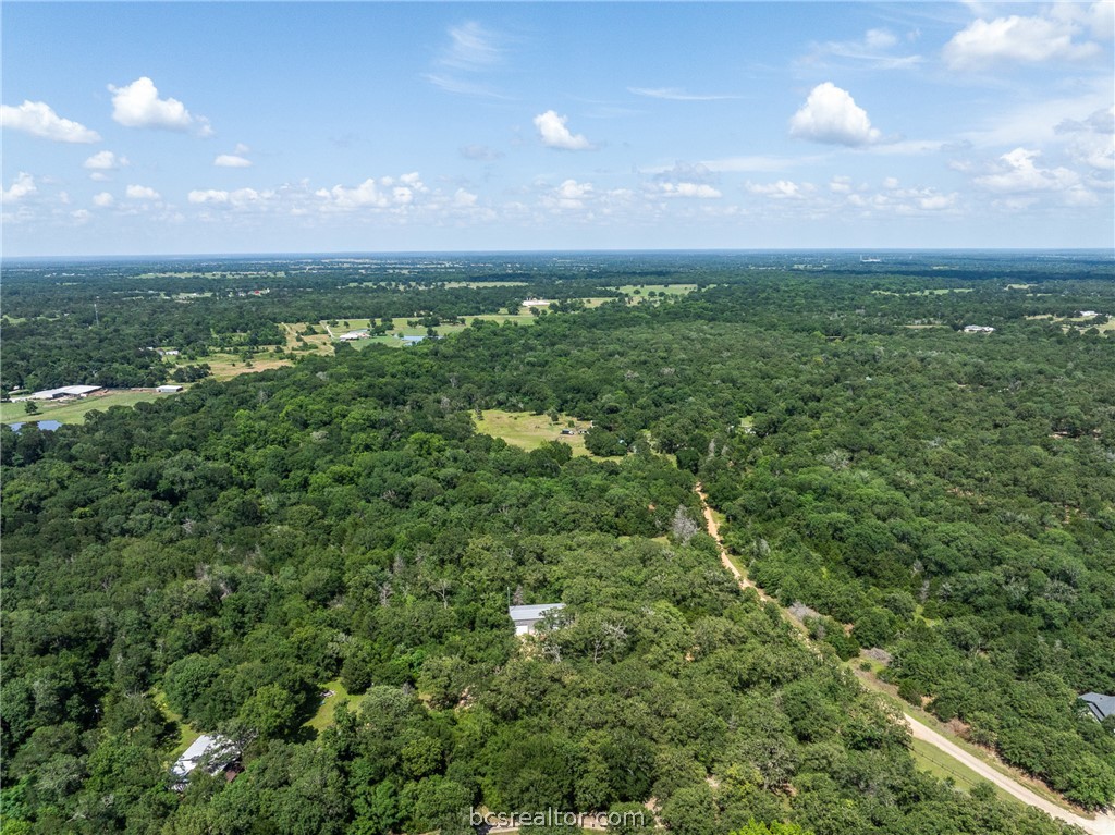 Tbd Weber Road Bryan, TX 77808 - Photo 36 of 43