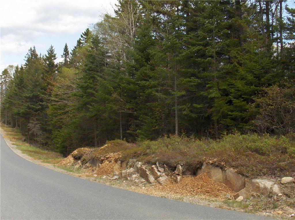 Lot 3 Pigeon Hill Road Steuben, ME 04680 - Photo 1 of 6 Paved Road frontage and Pink granite...