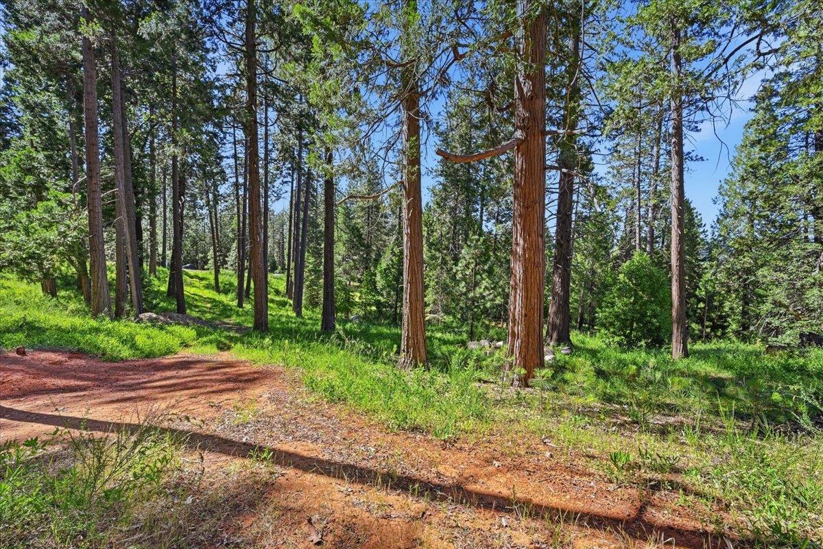11021 Pittsburg Mine Road Nevada City, CA 95959 - Photo 16 of 36