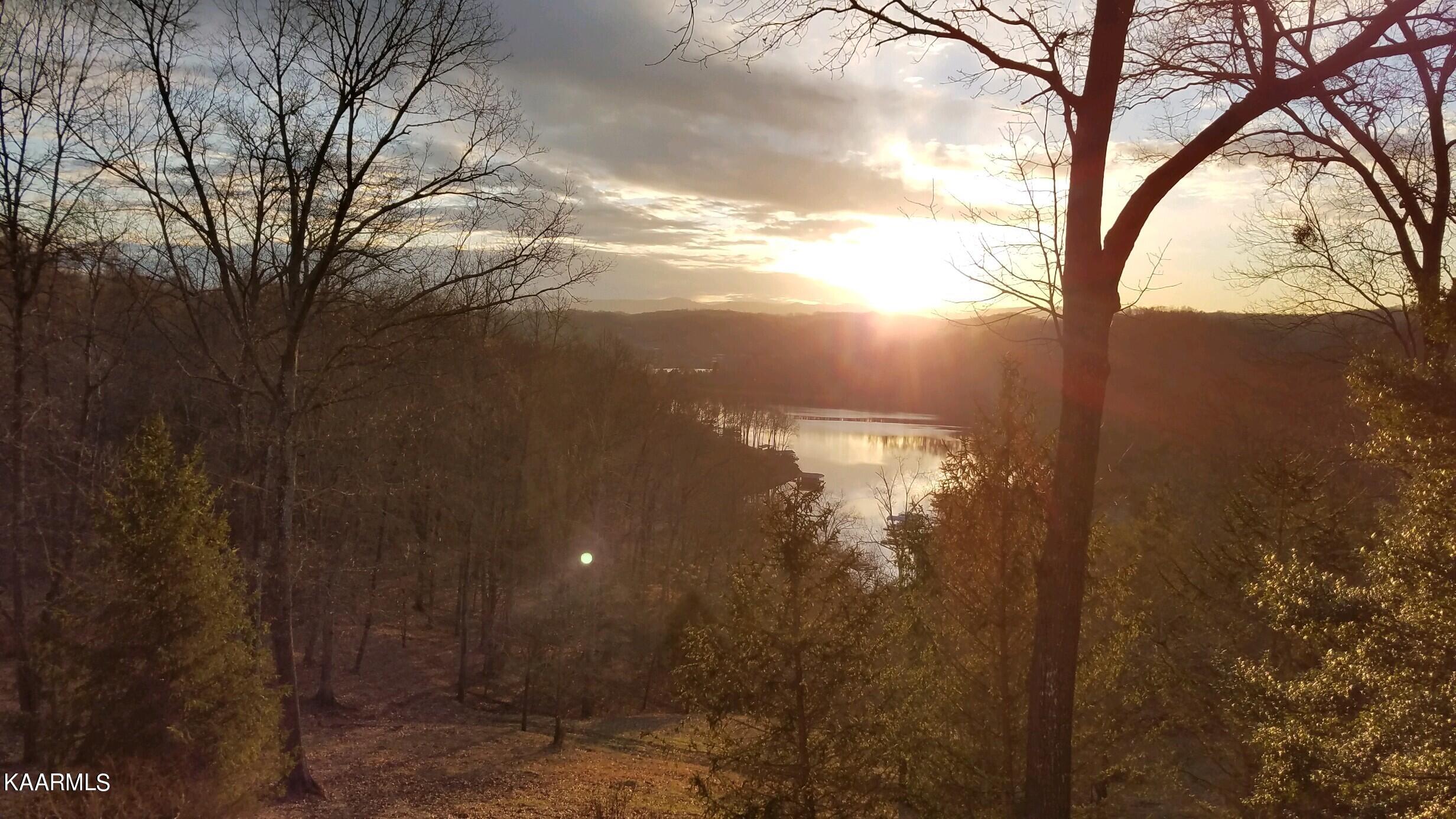 1186 Deerfield Way La Follette, TN 37766 - Photo 4 of 23 20200311_192310