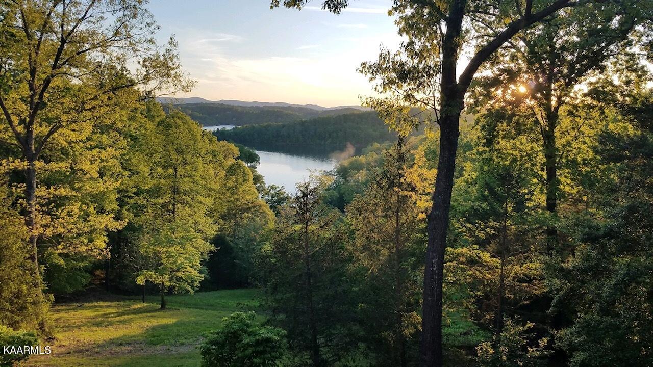 1186 Deerfield Way La Follette, TN 37766 - Photo 5 of 23 20200501_200512