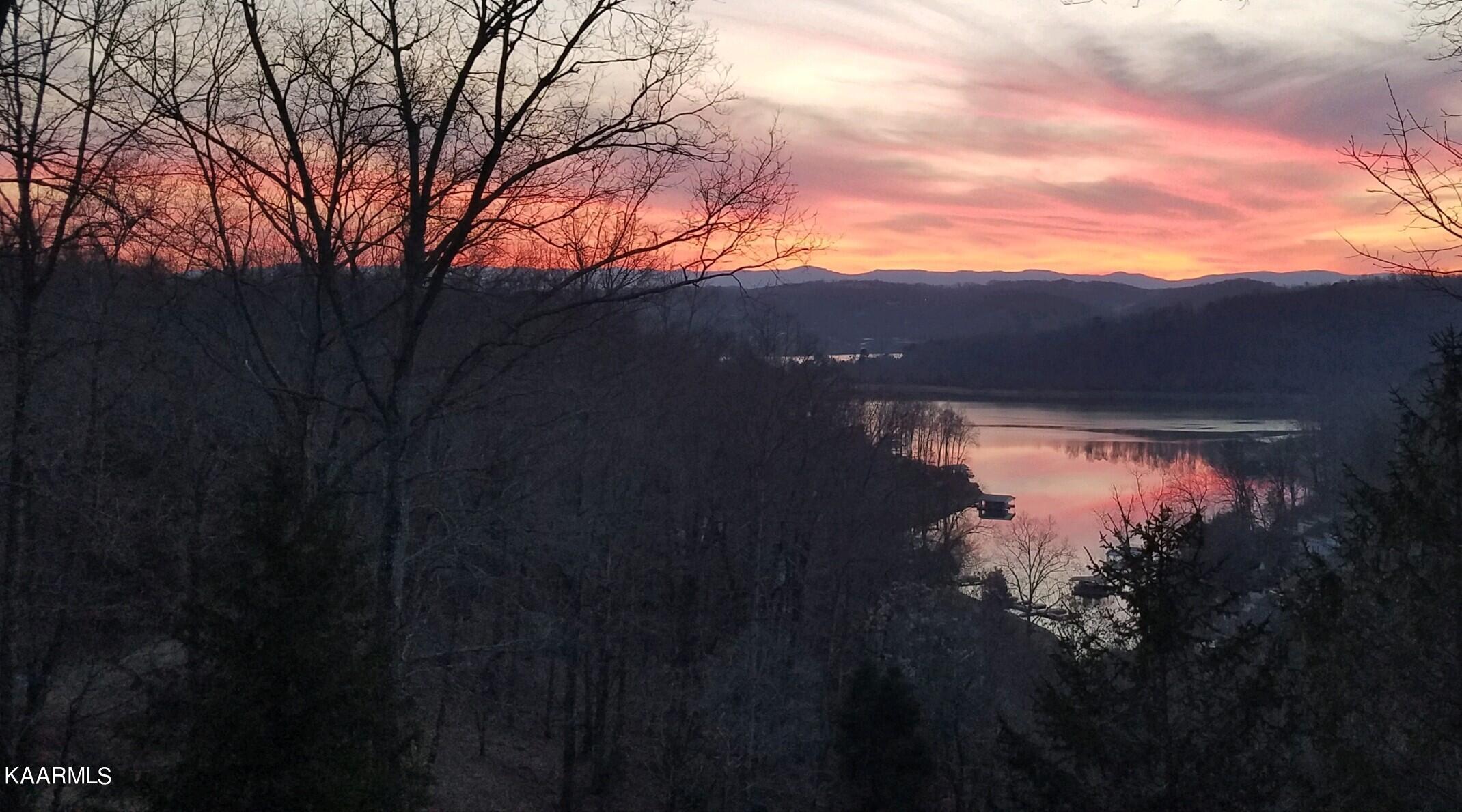 1186 Deerfield Way La Follette, TN 37766 - Photo 6 of 23 20210308_185634