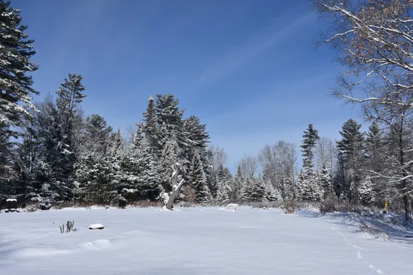 $735,000 | 1078 Brook Road, Marshfield, VT 05658