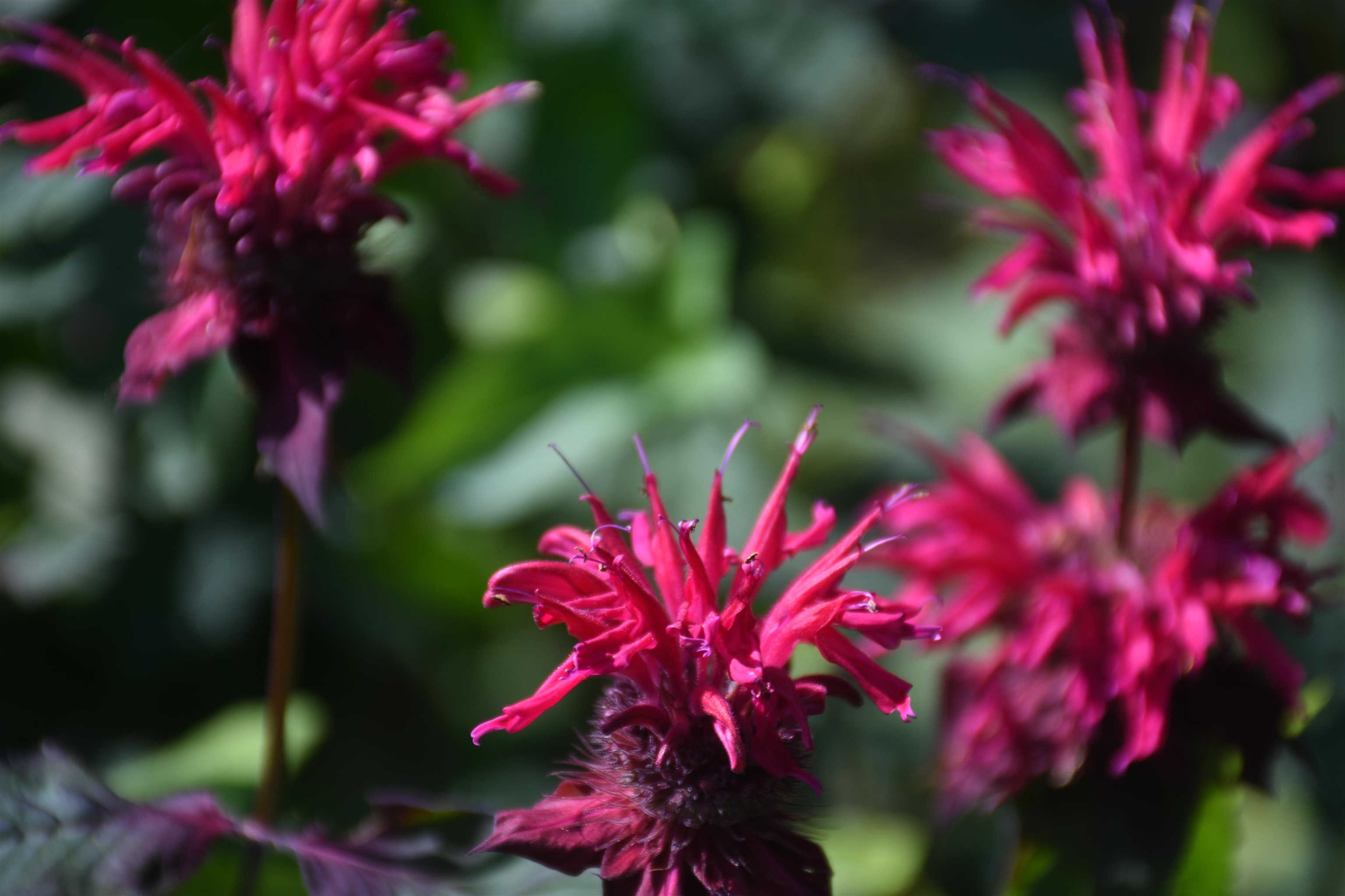 1078 Brook Road Marshfield, VT 05658 - Photo 53 of 60