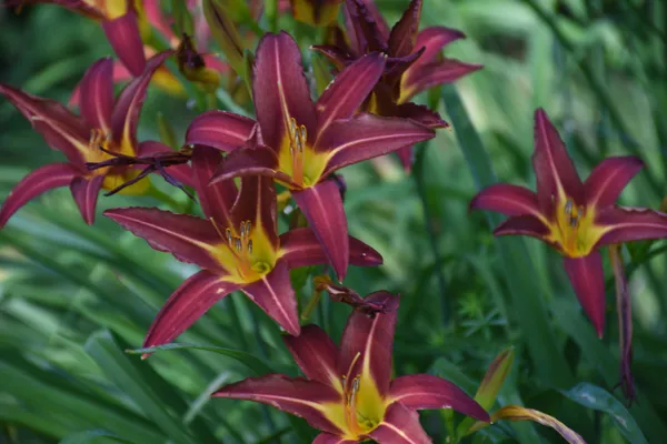 $735,000 | 1078 Brook Road, Marshfield, VT 05658