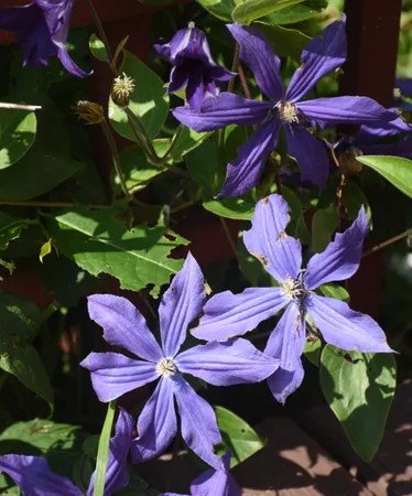 $735,000 | 1078 Brook Road, Marshfield, VT 05658