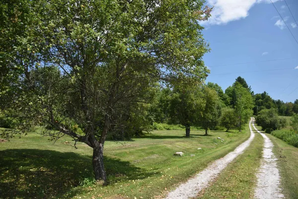 $735,000 | 1078 Brook Road, Marshfield, VT 05658