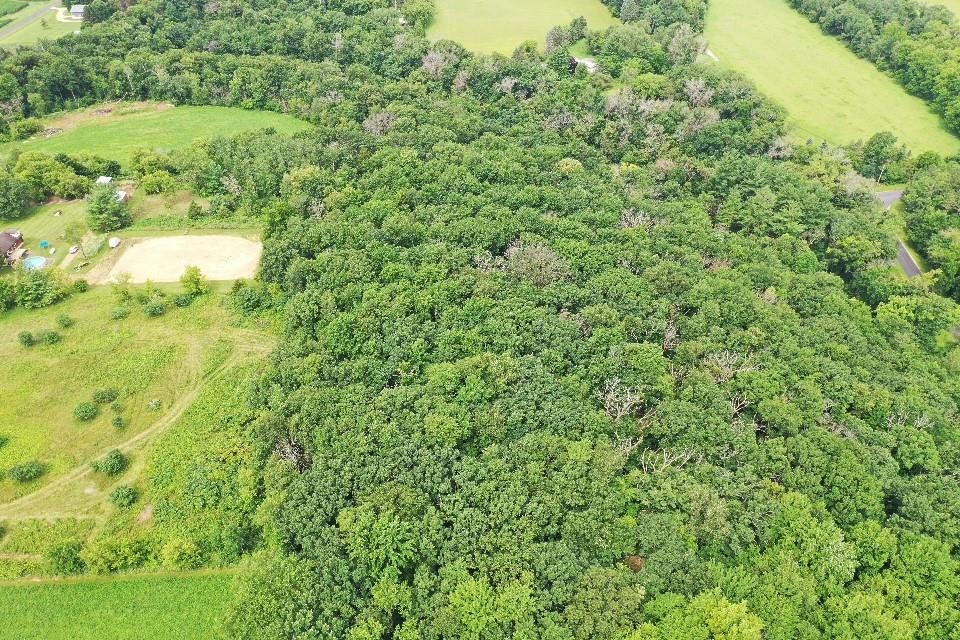 9.85-acres Stevenson Poynette, WI 53955 - Photo 3 of 30