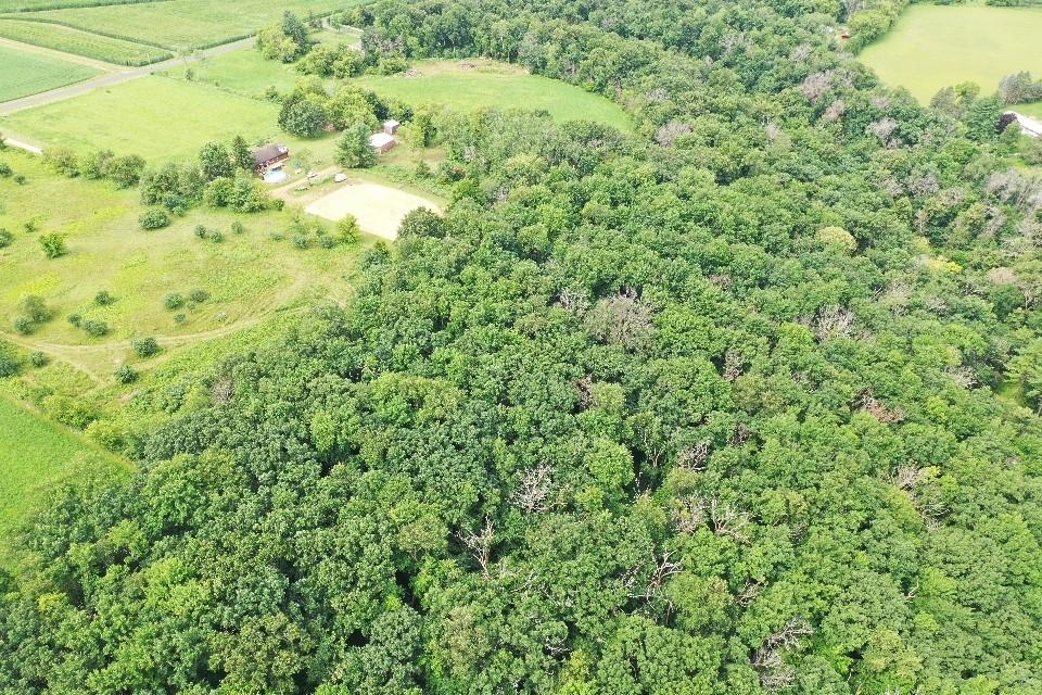 9.85-acres Stevenson Poynette, WI 53955 - Photo 4 of 30