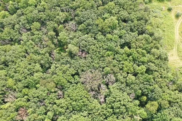 $409,900 | 9.85-acres Stevenson, Poynette, WI 53955