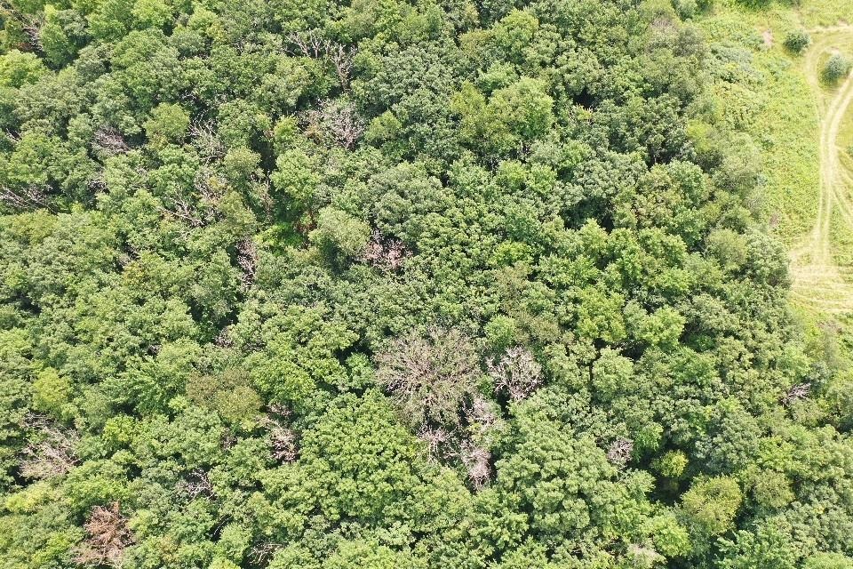 9.85-acres Stevenson Poynette, WI 53955 - Photo 8 of 30