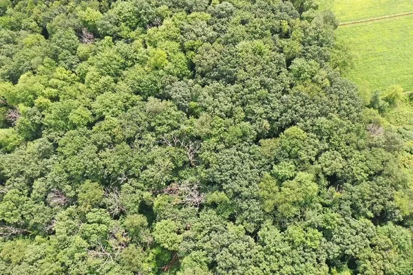 $409,900 | 9.85-acres Stevenson, Poynette, WI 53955