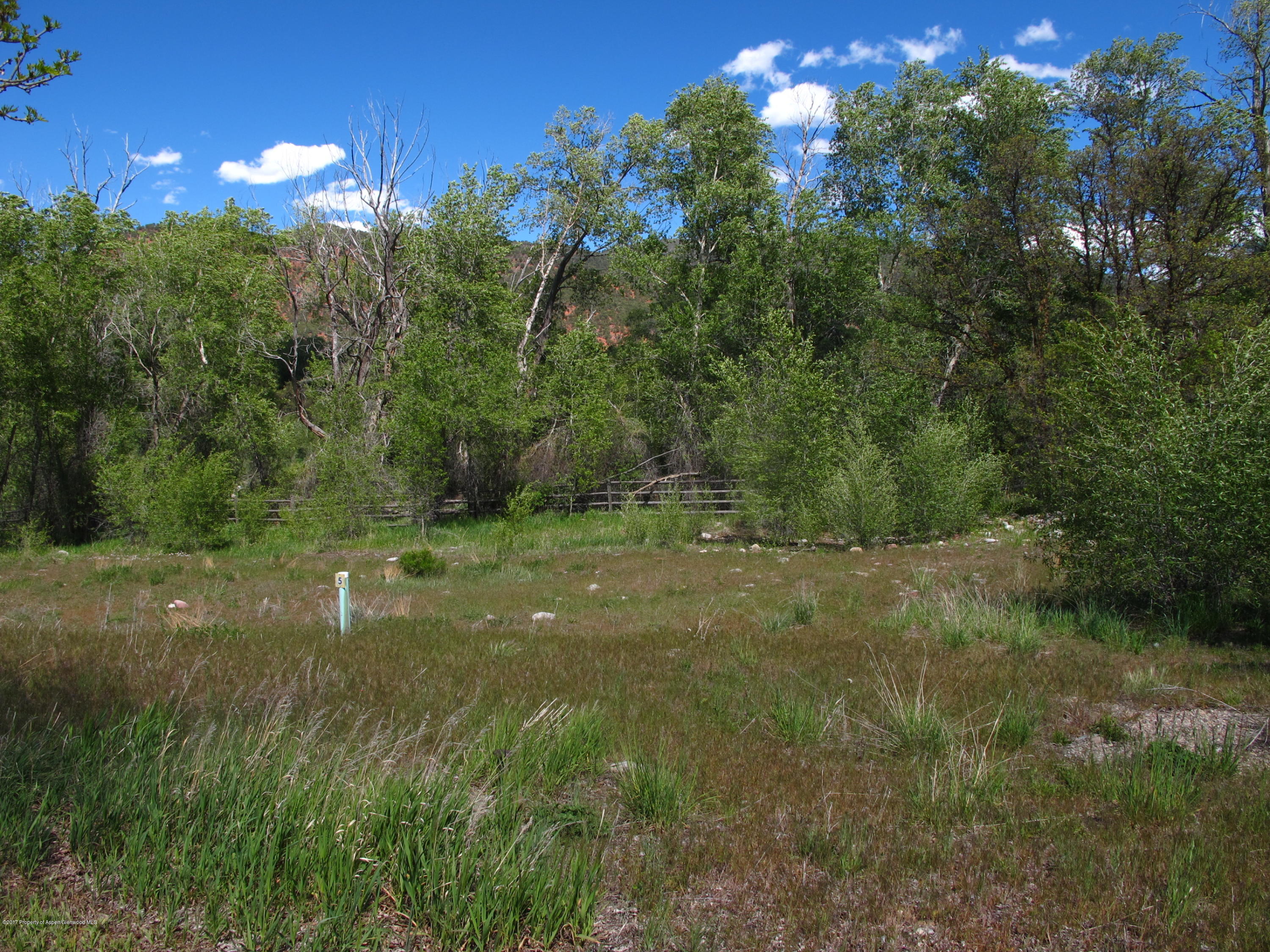 427 Allison Lane Basalt, CO 81621 - Photo 1 of 11 IMG_6165
