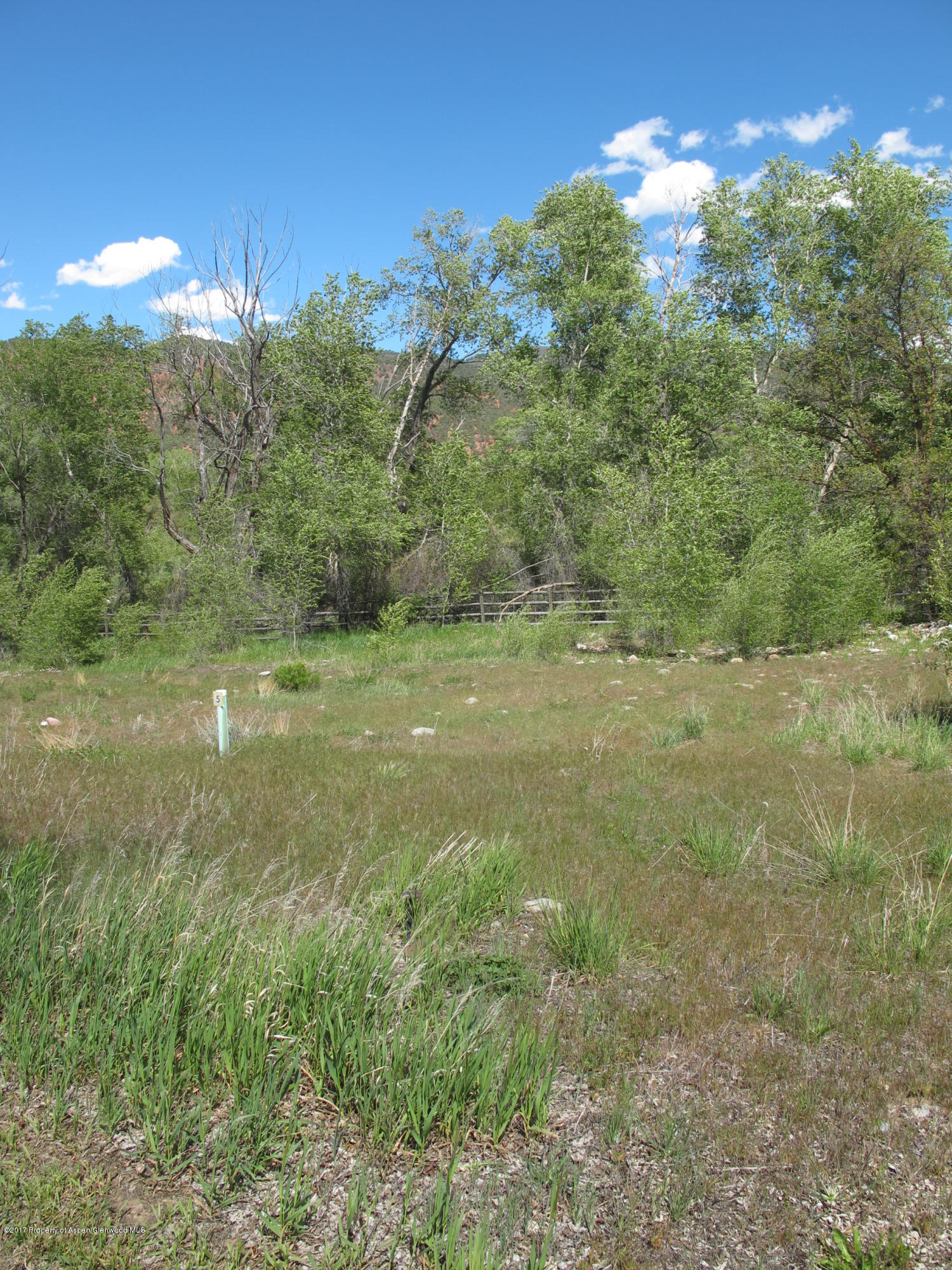 427 Allison Lane Basalt, CO 81621 - Photo 11 of 11 IMG_6161