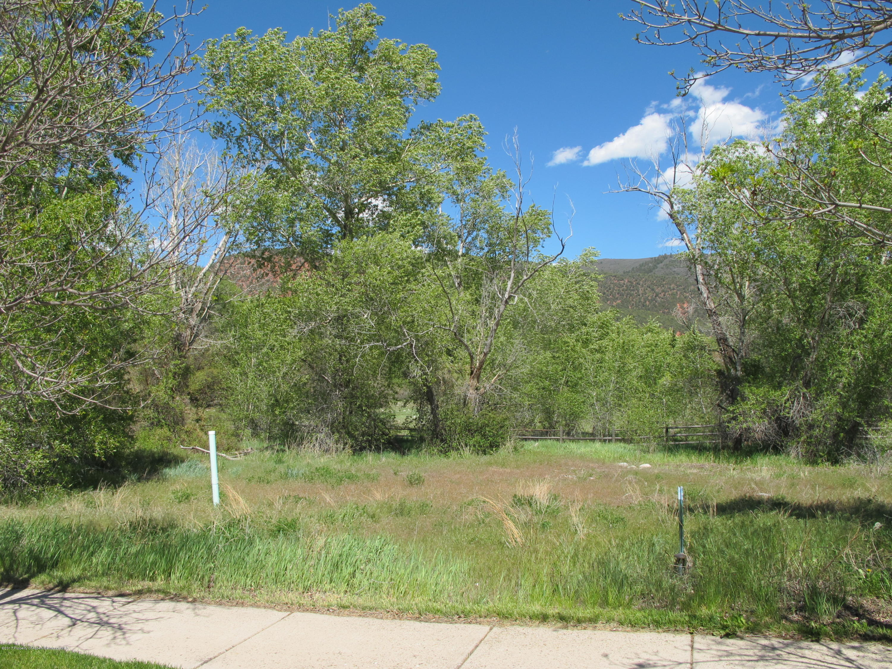427 Allison Lane Basalt, CO 81621 - Photo 3 of 11 IMG_6152