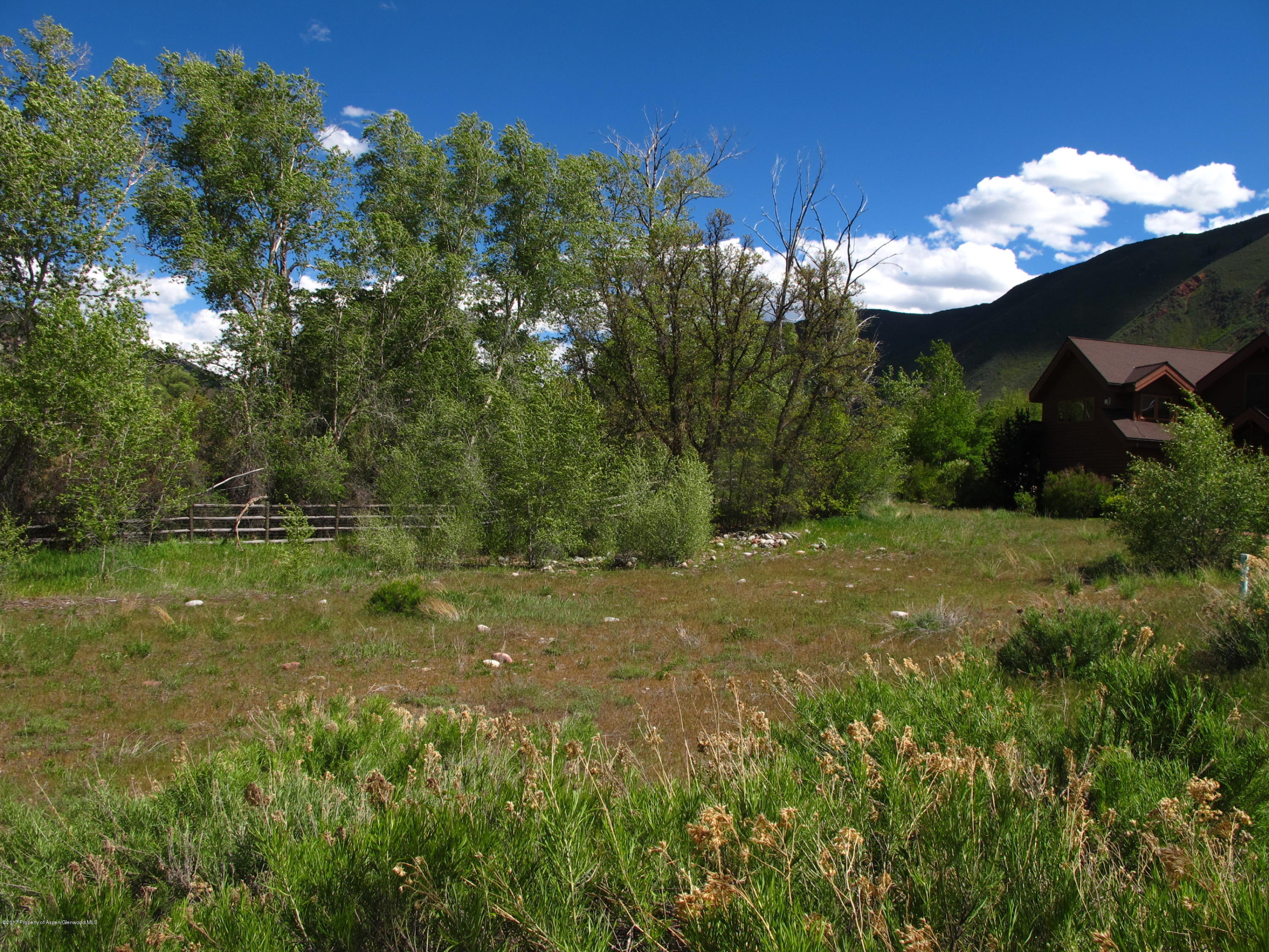 427 Allison Lane Basalt, CO 81621 - Photo 4 of 11 IMG_6169