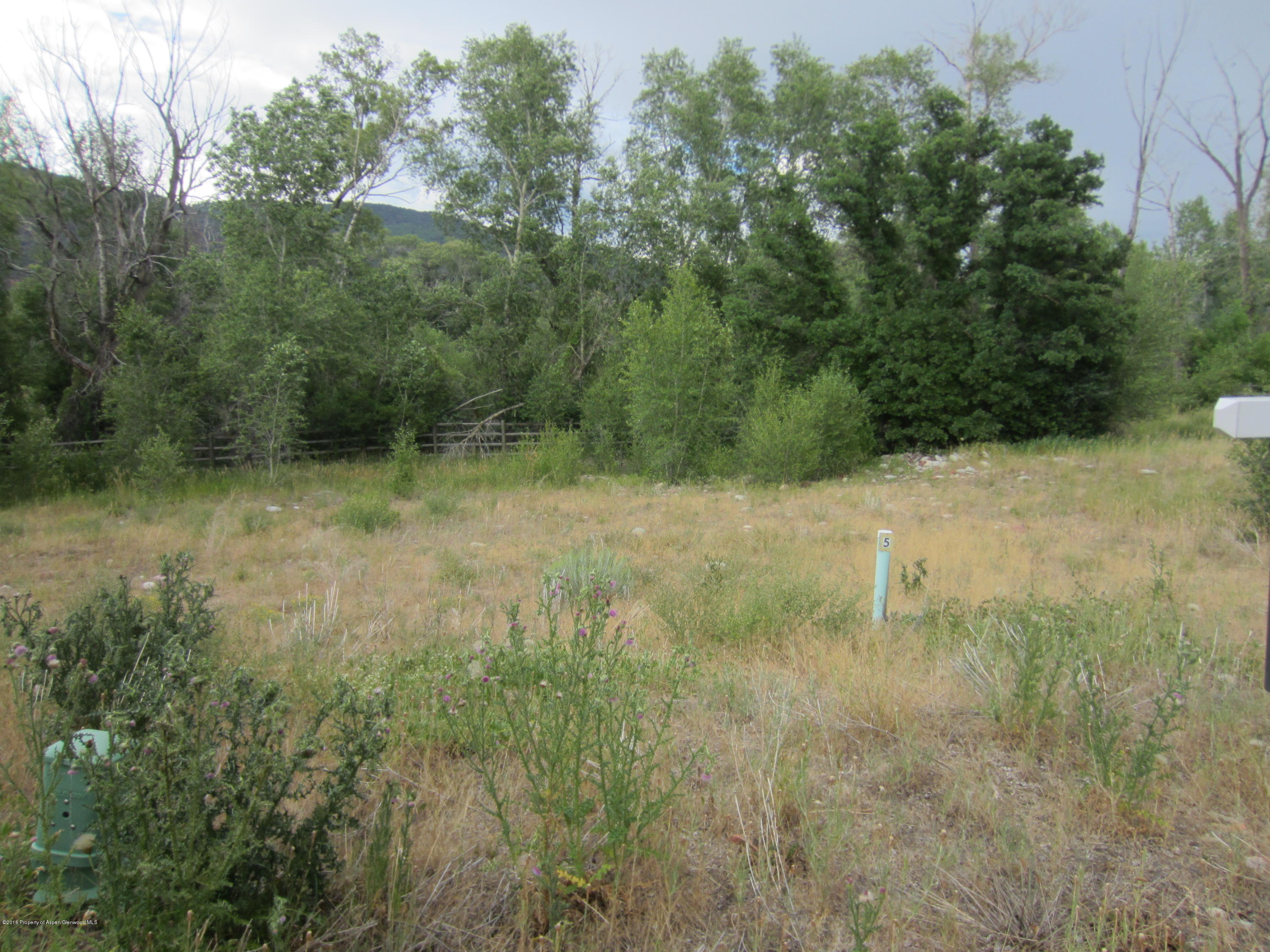 427 Allison Lane Basalt, CO 81621 - Photo 10 of 11 IMG_1595