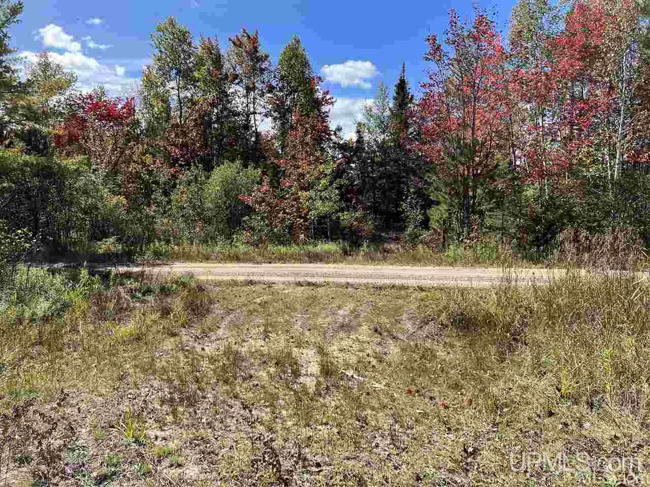 4091 Hiawatha Station Road Manistique, MI 49854 - Photo 14 of 24
