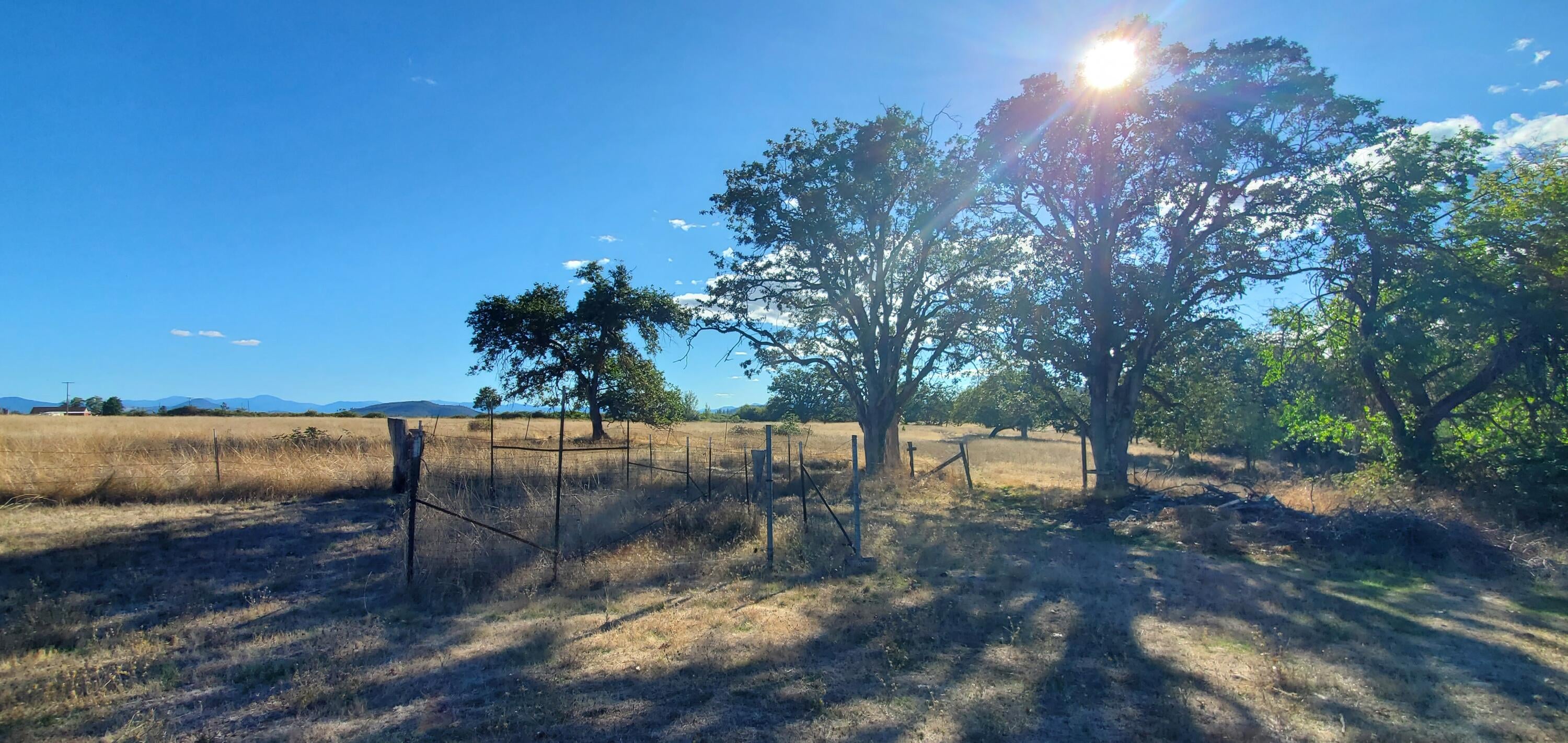 1501 Hammel Road Eagle Point, OR 97524 - Photo 25 of 34 20220929_163346