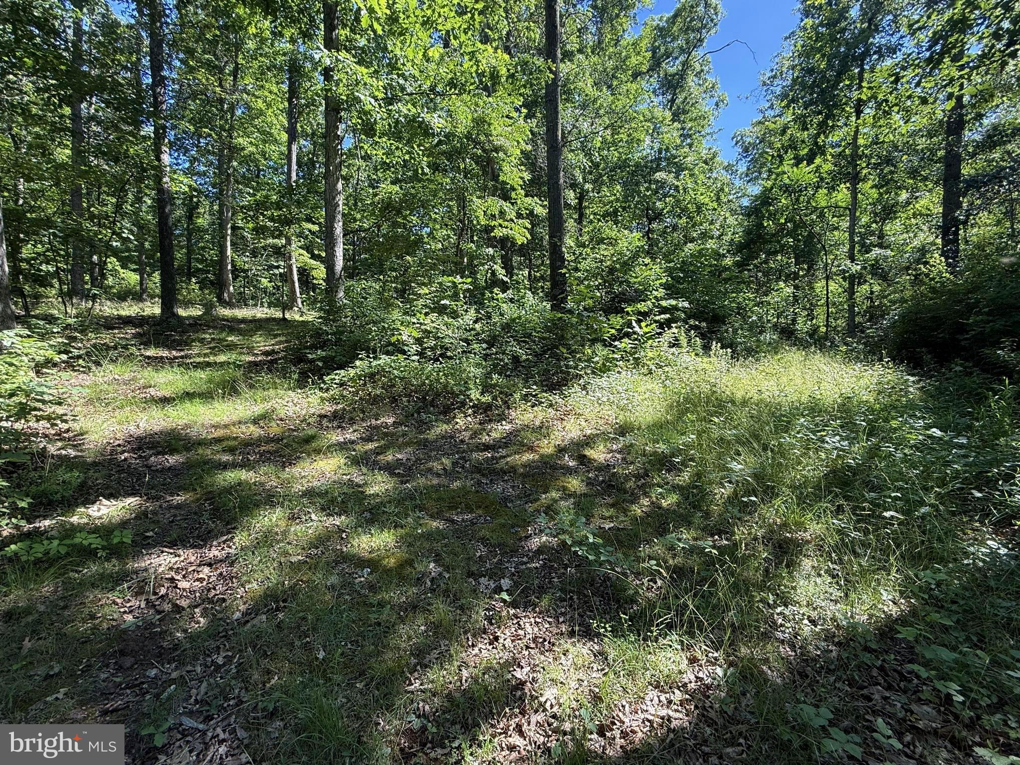750 Hickory Corner Road Augusta, WV 26704 - Photo 36 of 49