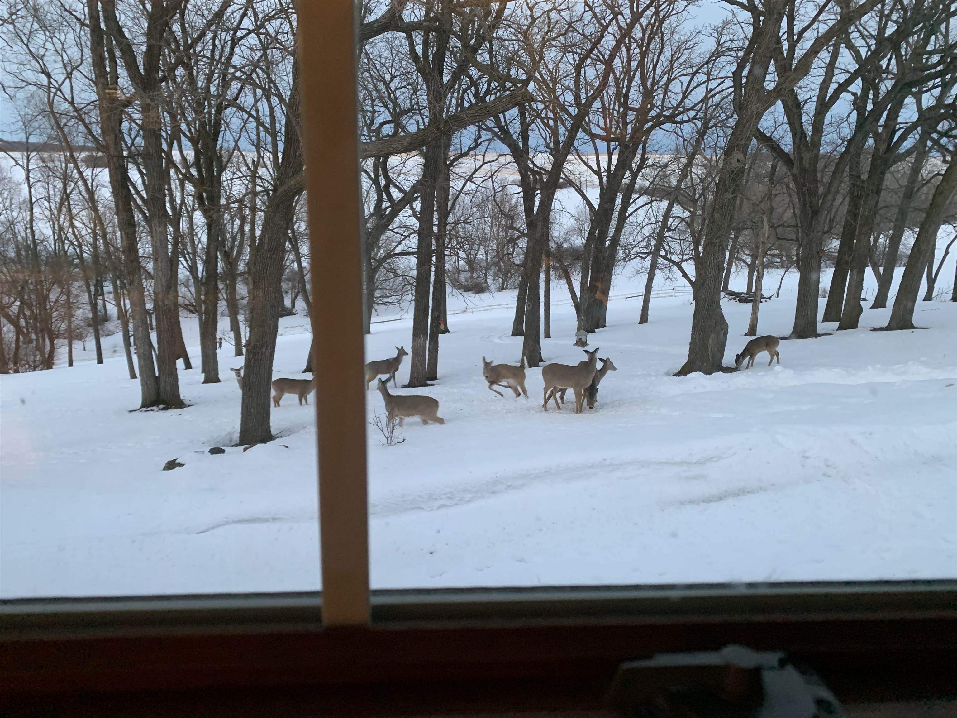 10538 West Erbe Road Blue Mounds, WI 53517 - Photo 40 of 42