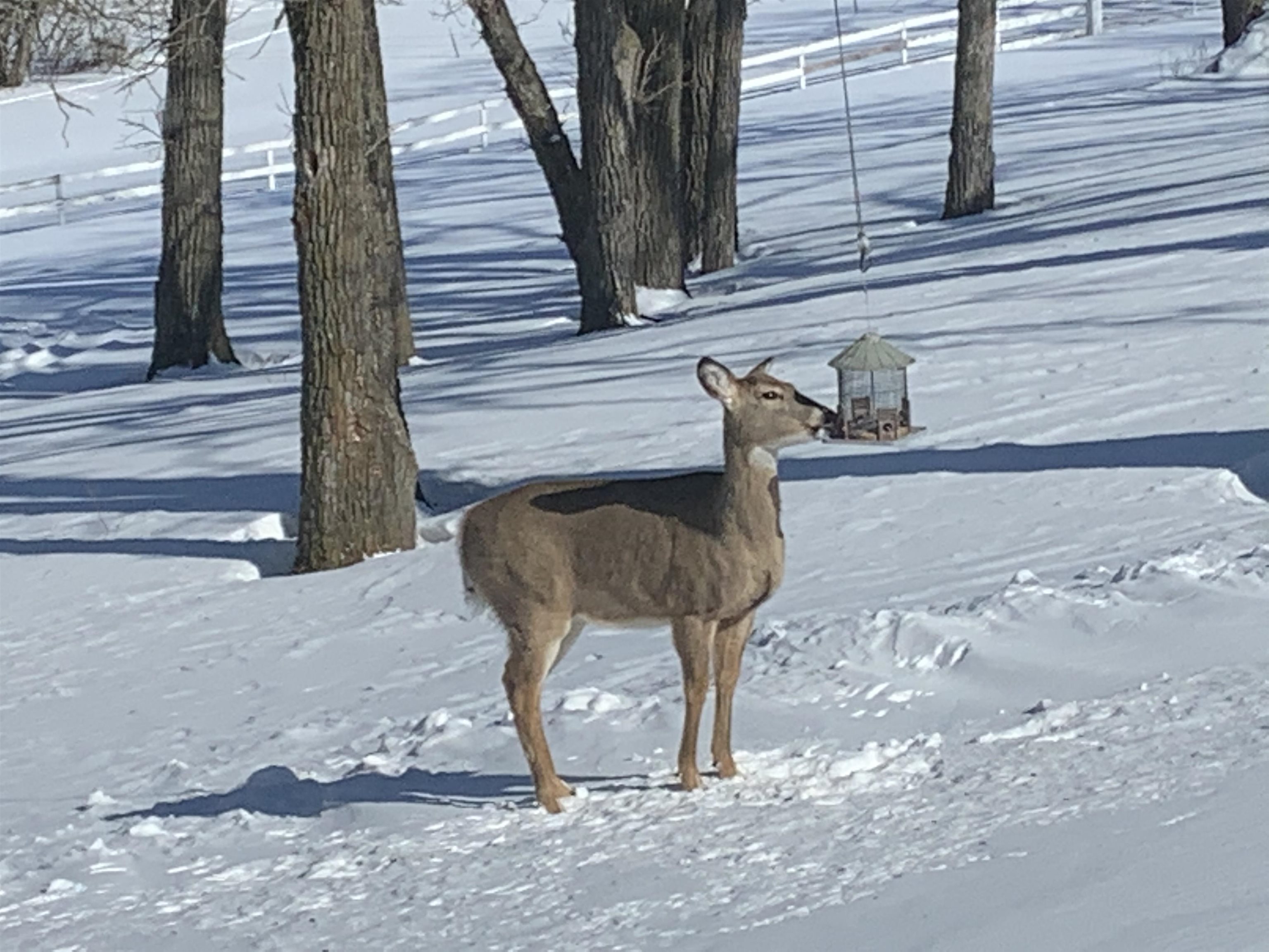 10538 West Erbe Road Blue Mounds, WI 53517 - Photo 41 of 42