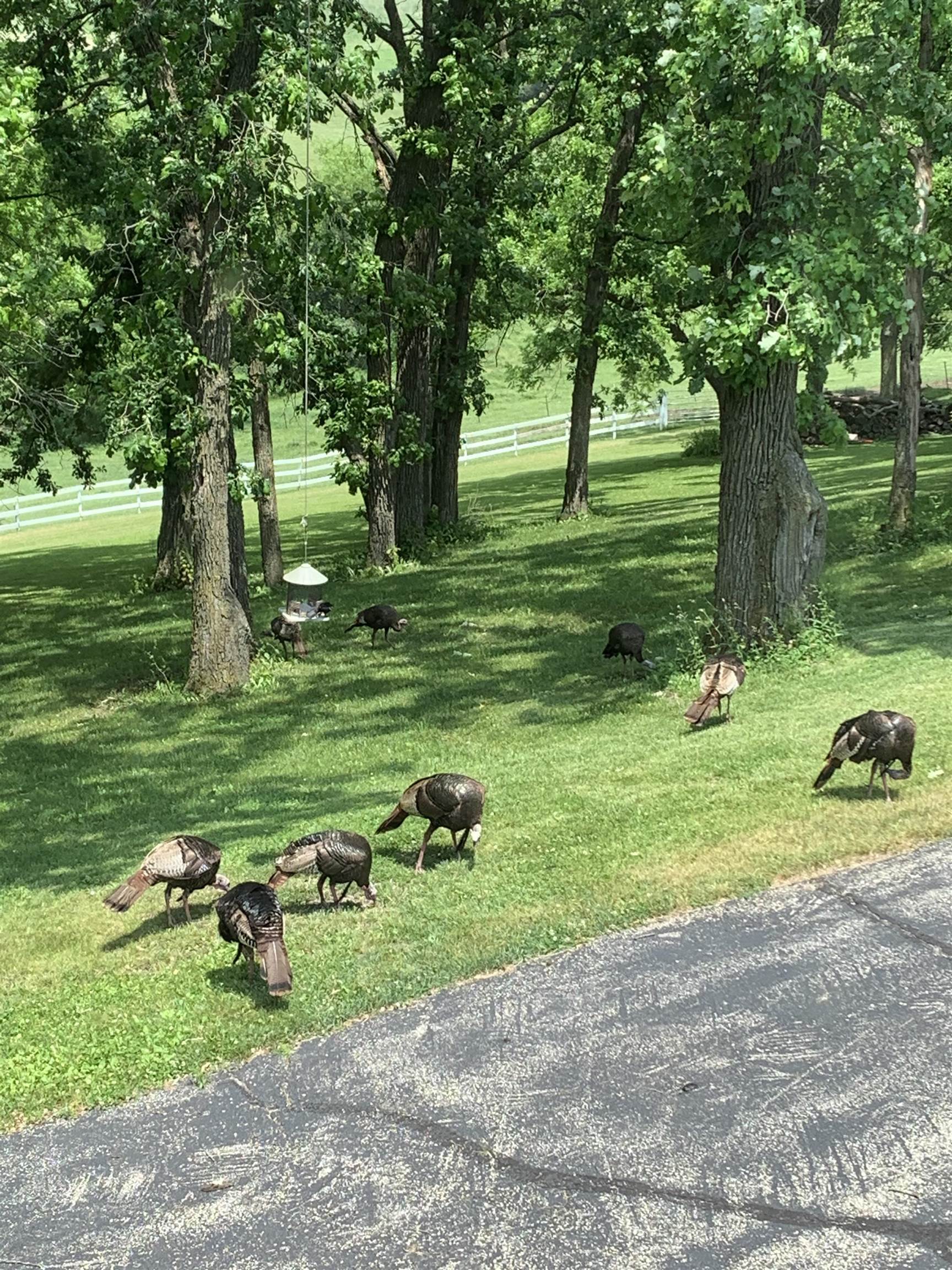 10538 West Erbe Road Blue Mounds, WI 53517 - Photo 42 of 42