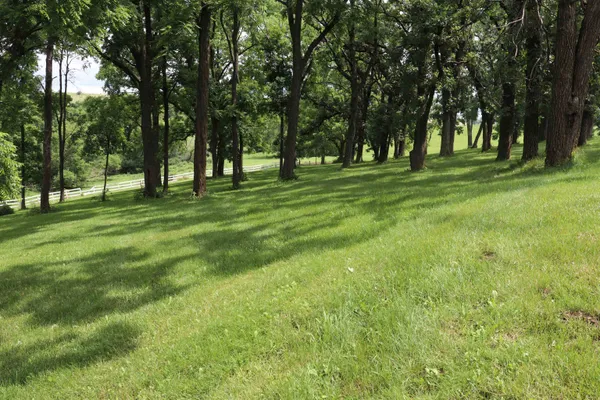 $1,075,000 | 10538 West Erbe Road, Blue Mounds, WI 53517