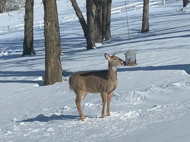 $1,075,000 | 10538 West Erbe Road, Blue Mounds, WI 53517