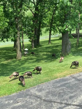 $1,075,000 | 10538 West Erbe Road, Blue Mounds, WI 53517