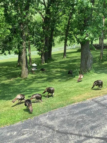 $1,075,000 | 10538 West Erbe Road, Blue Mounds, WI 53517