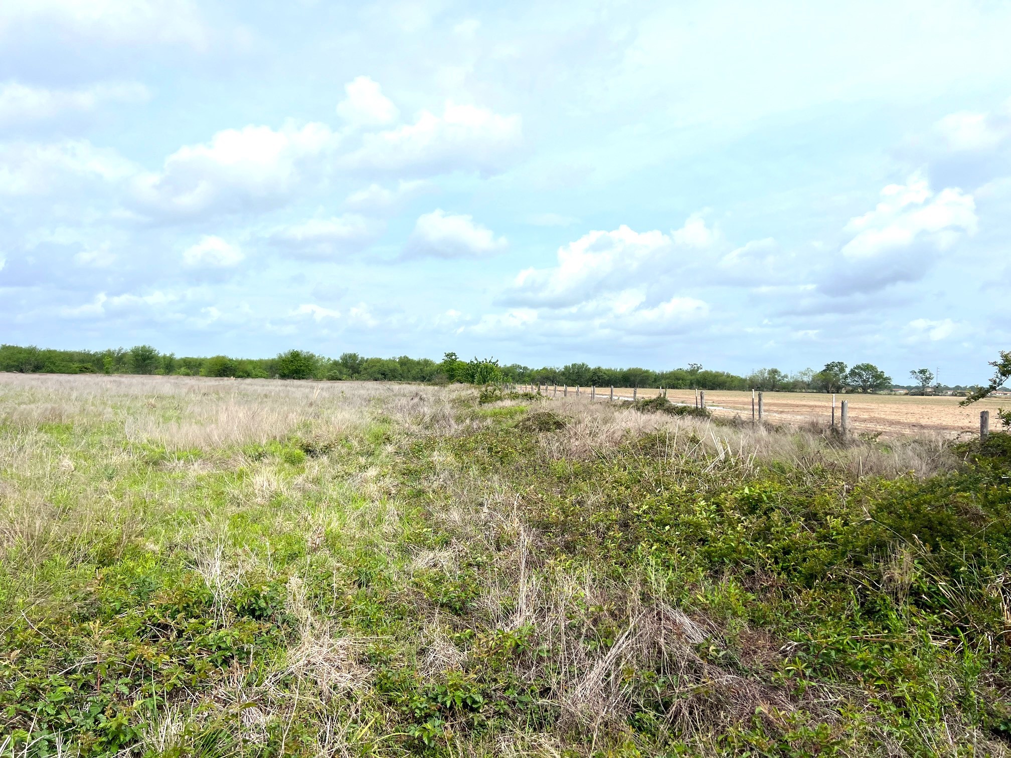 3798 Johnston Road Wallis, TX 77485 - Photo 7 of 38