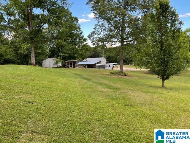 1042 Leander Road Daviston, AL 36256 - Photo 5 of 30