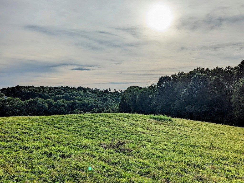 Tbd Red Oak Grove Road Northeast Floyd, VA 24091 - Photo 2 of 33 Gallery Image 2