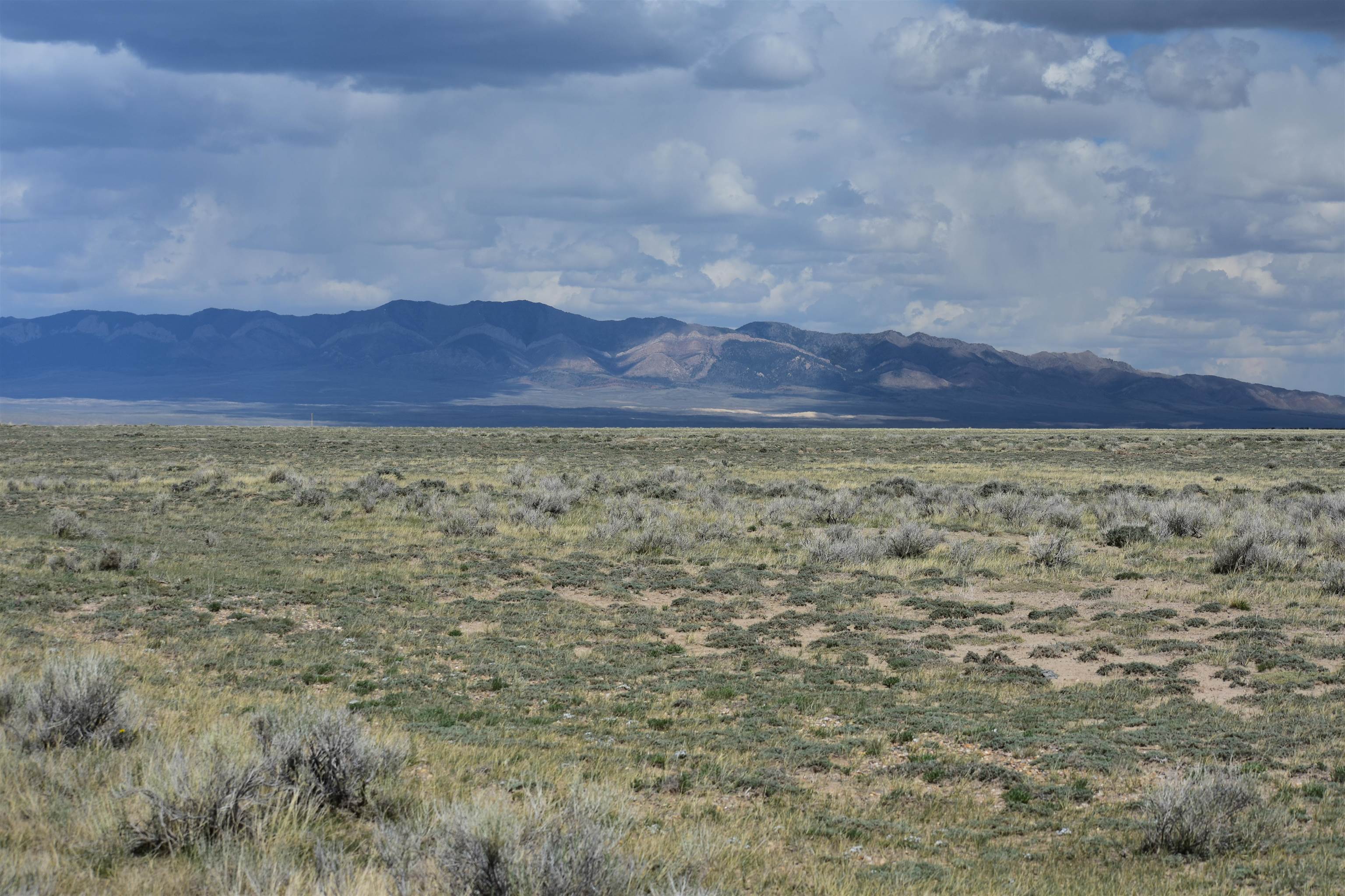 Tbd Tbd Buzzard Willow Rd Road Rawlins, WY 82301 - Photo 8 of 11