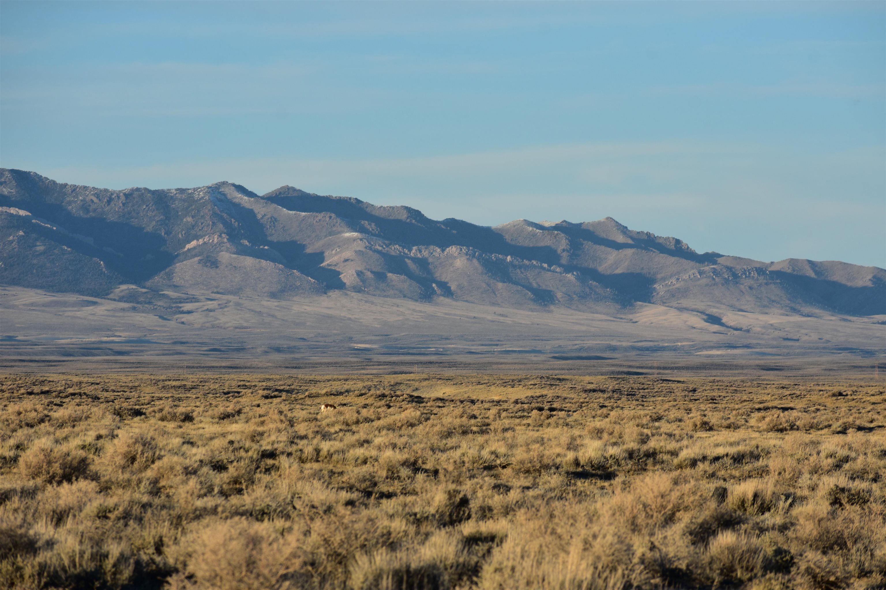 Tbd Tbd Buzzard Willow Rd Road Rawlins, WY 82301 - Photo 10 of 11