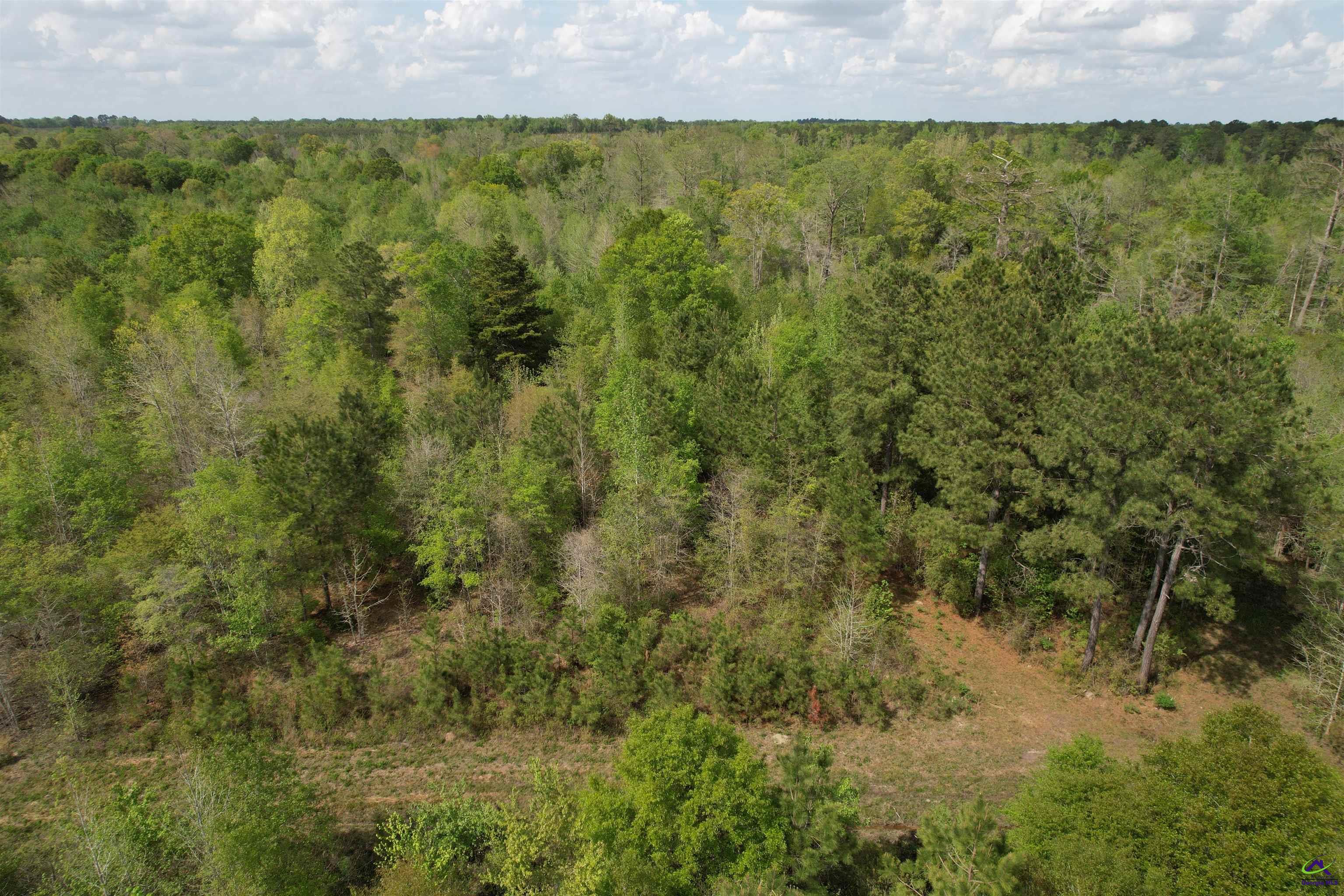 Bethel Church Road Eastman, GA 31023 - Photo 16 of 32