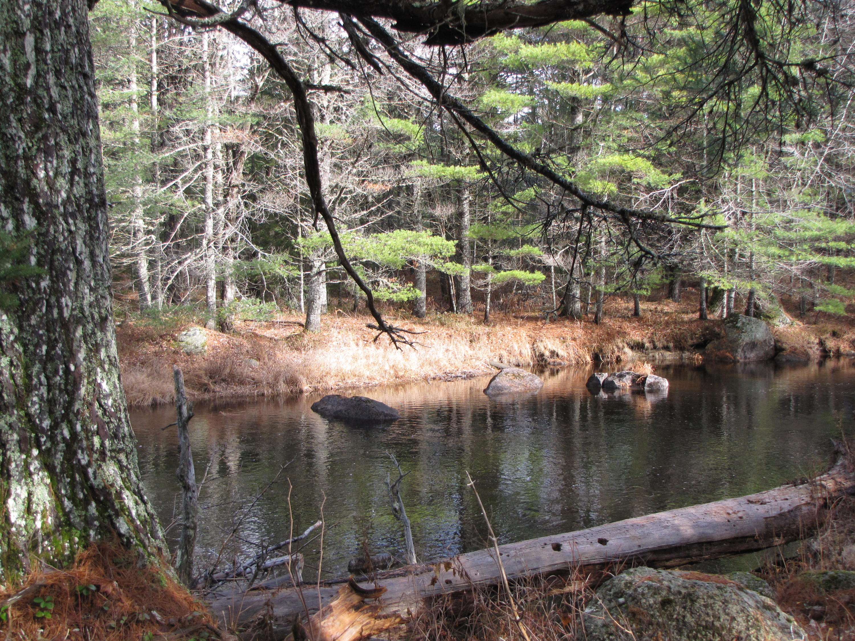 X X Off Ccc Road Machias, ME 04654 - Photo 12 of 57 IMG_1612