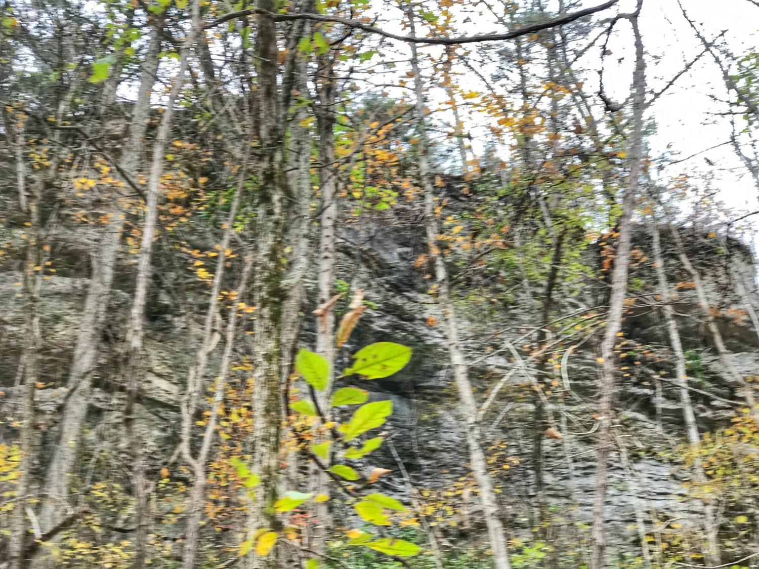 889 South Fork Road Stanton, KY 40380 - Photo 3 of 19 Photo 3