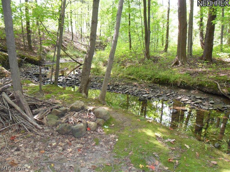 6895 Barrett Road Geneva, OH 44041 - Photo 12 of 21