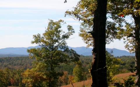 8 Cabin Country Blue Ridge, GA 30513 - Photo 1 of 1 Main View
