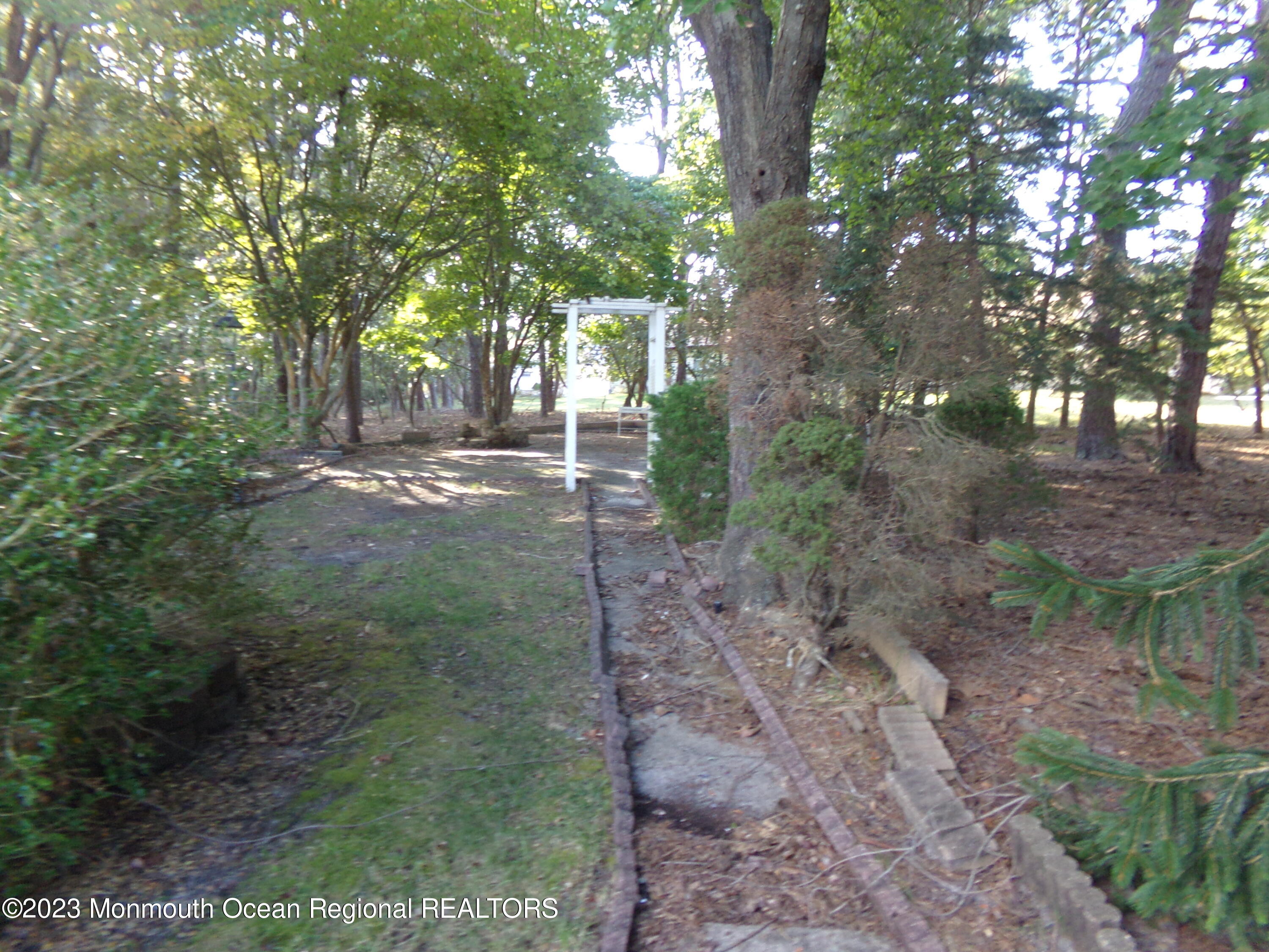 11 Ardmore Street, Unit 61 Whiting, NJ 08759 - Photo 26 of 34 a view of a forest filled with trees