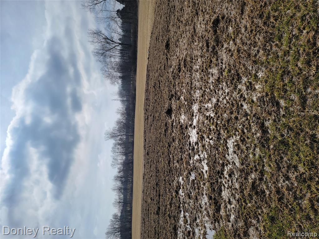 6750 Lanway Road Marlette, MI 48453 - Photo 2 of 12