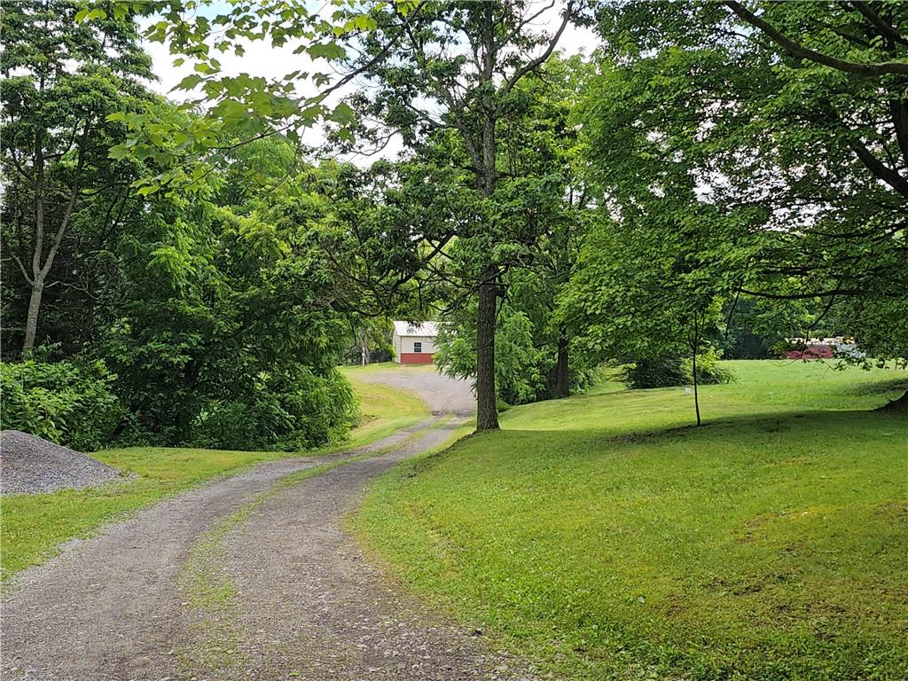 459 Big Knob Road Rochester, PA 15074 - Photo 2 of 48 a view of a trees with a park