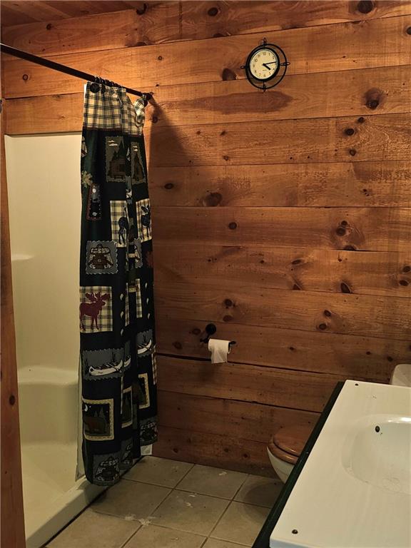 459 Big Knob Road Rochester, PA 15074 - Photo 41 of 48 a bathroom with a shower