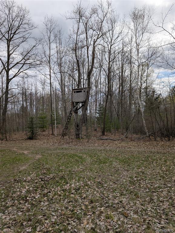 2889 Mill Station Road Hale, MI 48739 - Photo 29 of 33